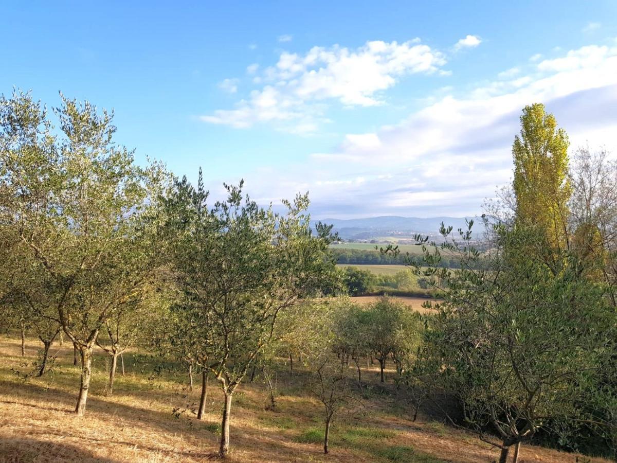 Sandra Bb & Restaurant Perugia